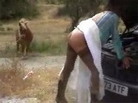 How Many Horse Power Do You Need Honey?