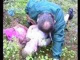 Teen Girl Gets Violated in The Forest By Mom's New Husband