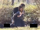 Japanese Students Caught Fucking In A Public Park